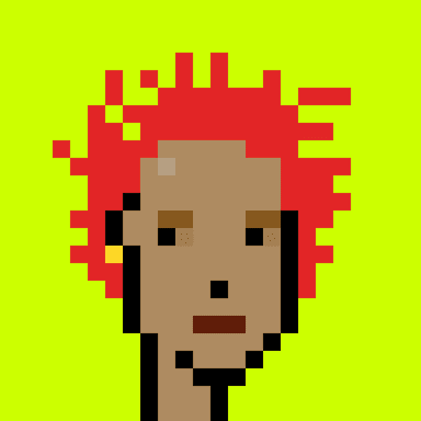 Punk #1206