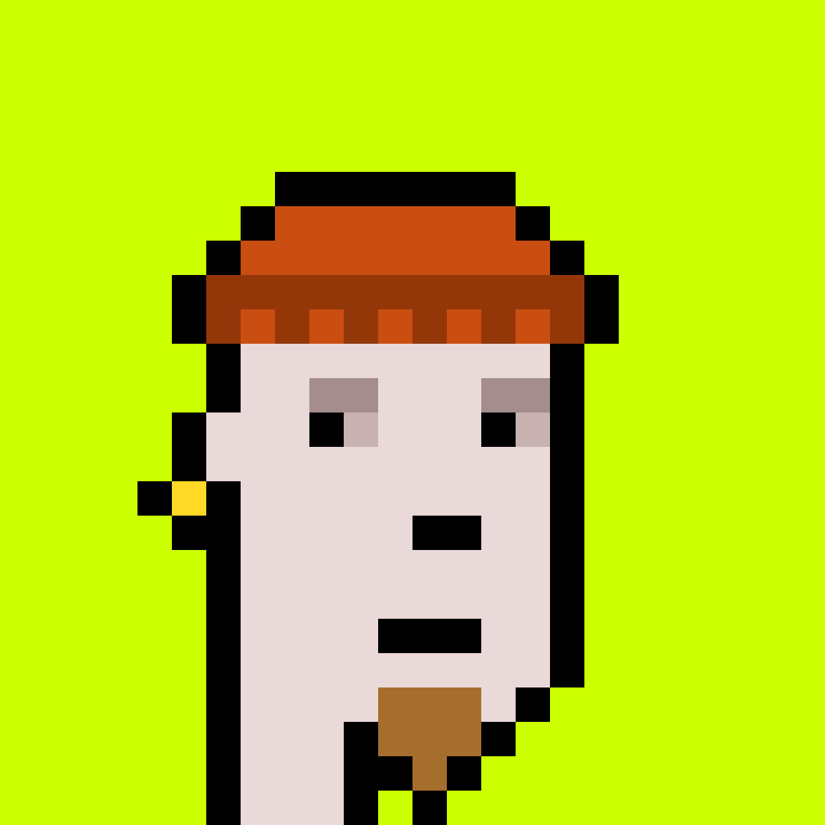 Punk #1305
