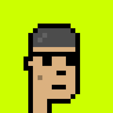 Punk #1313