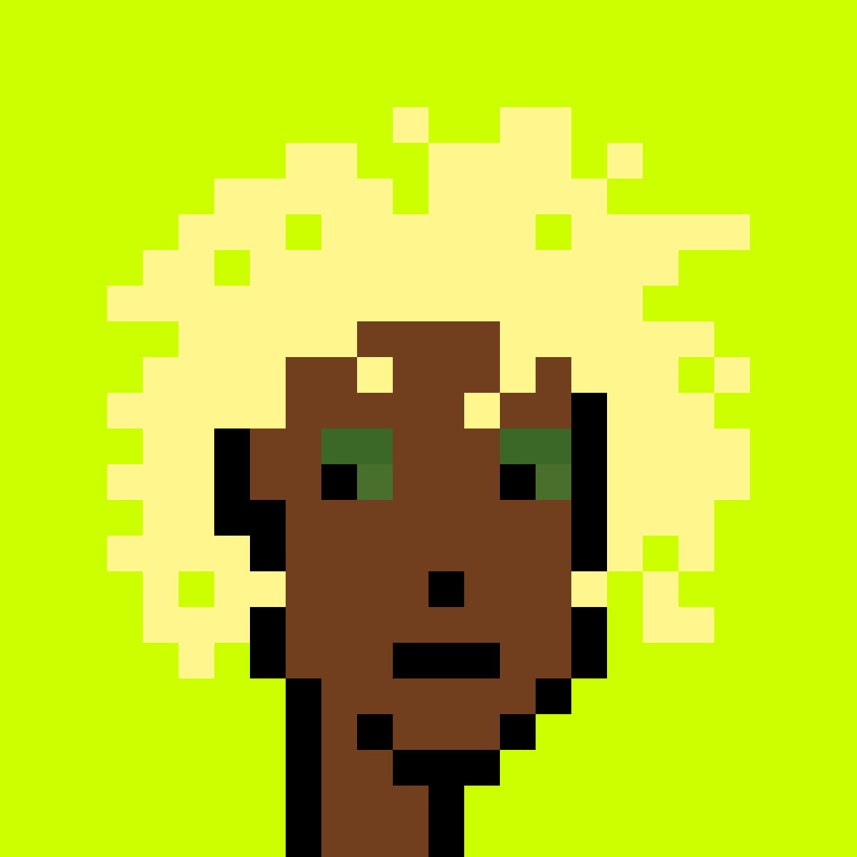 Punk #1347