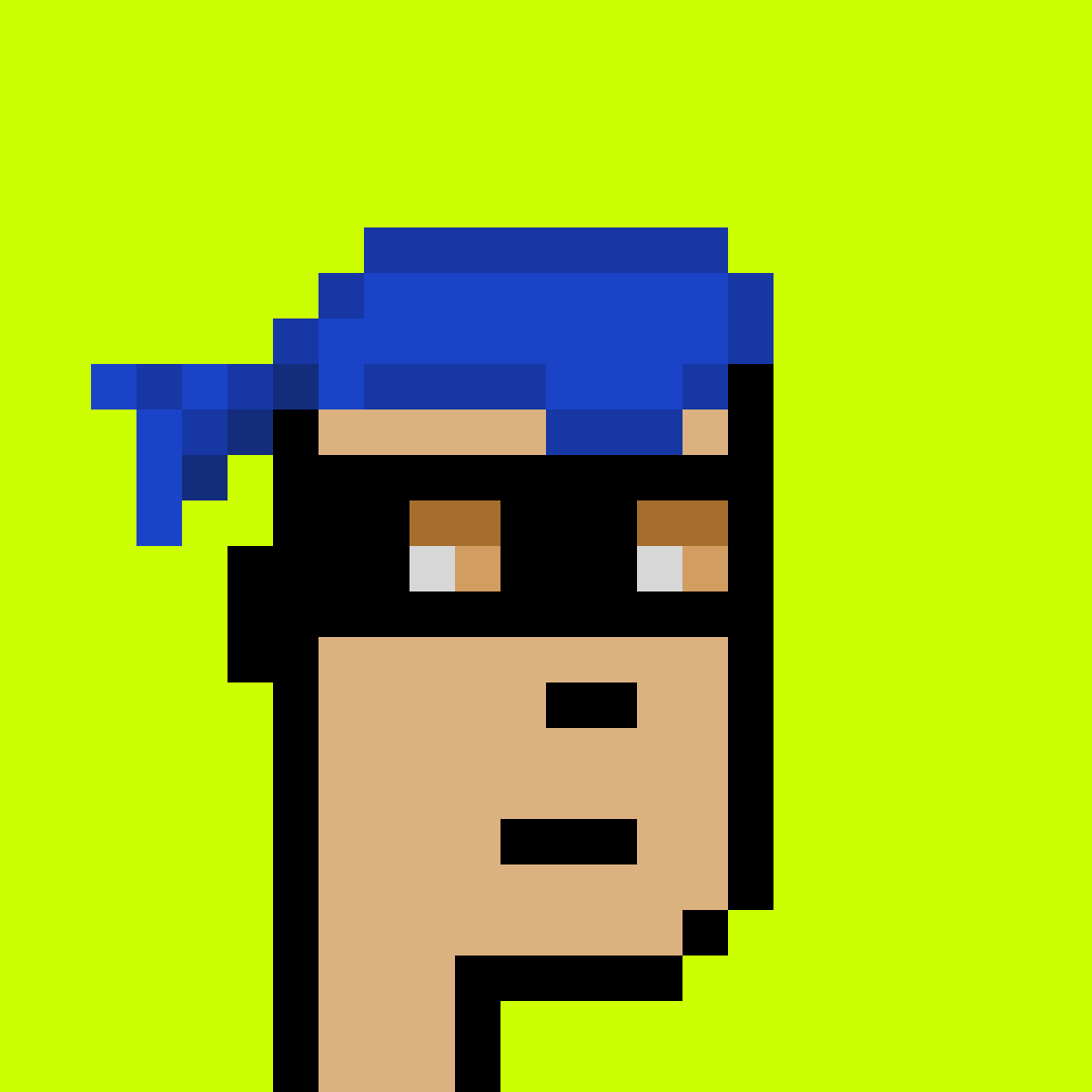 Punk #1357