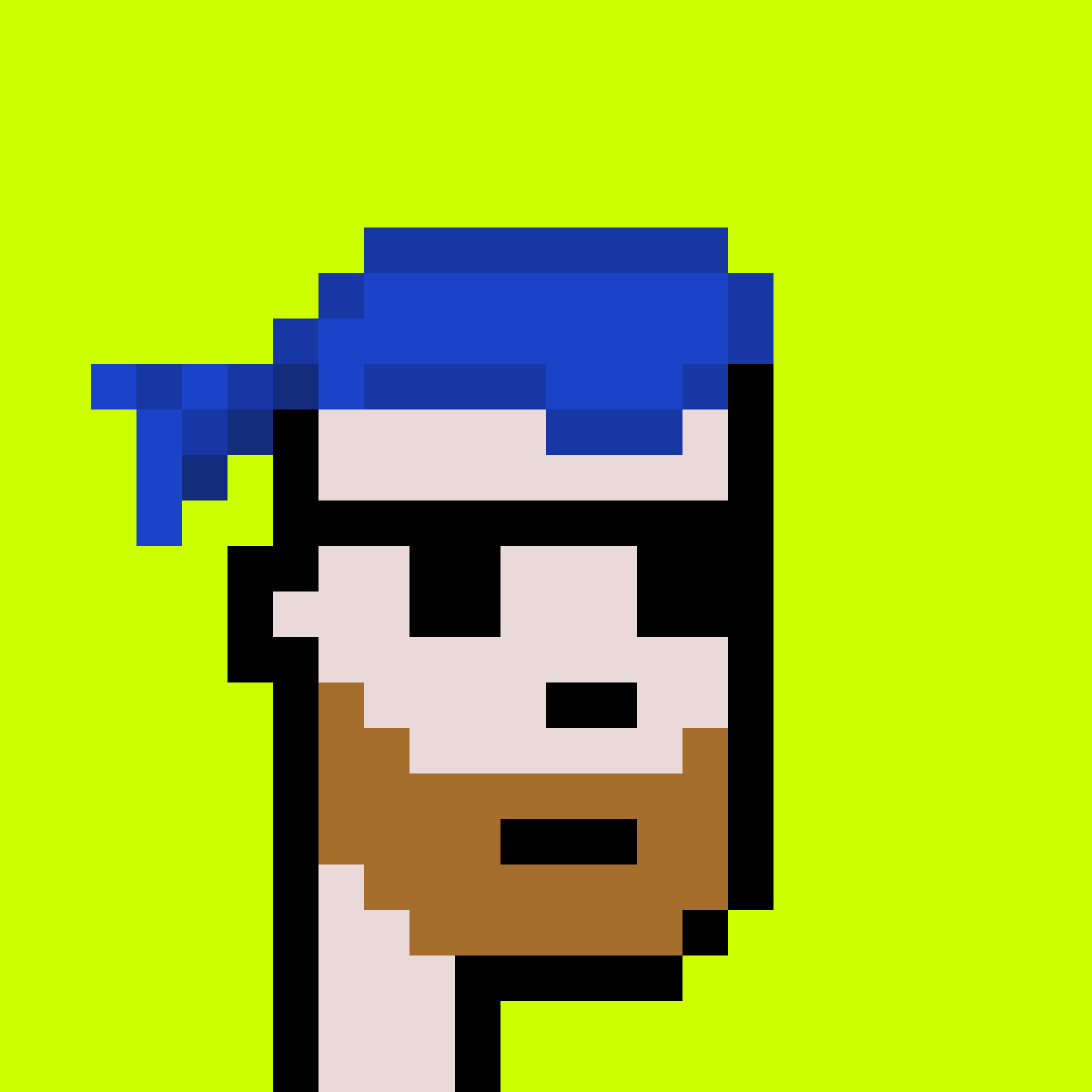 Punk #1526