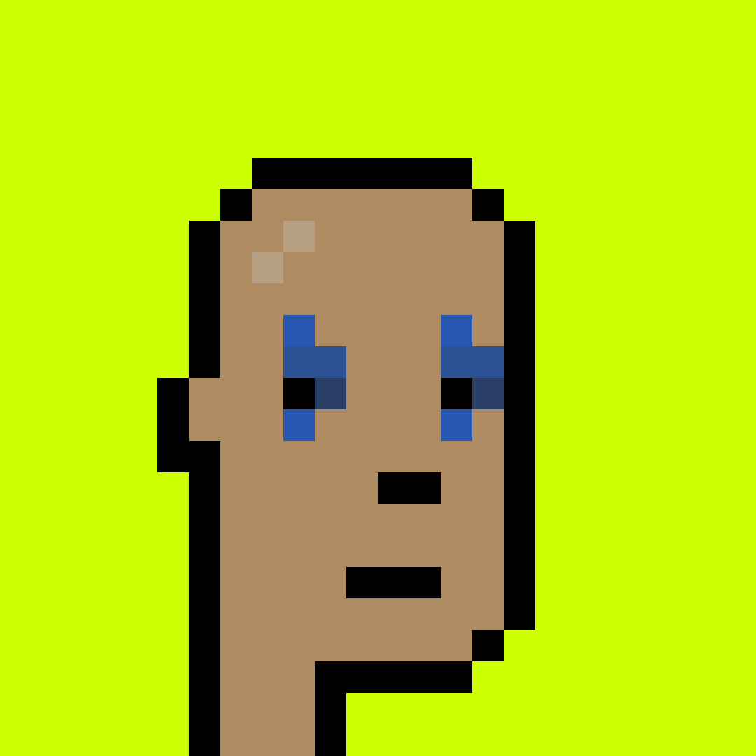 Punk #1563
