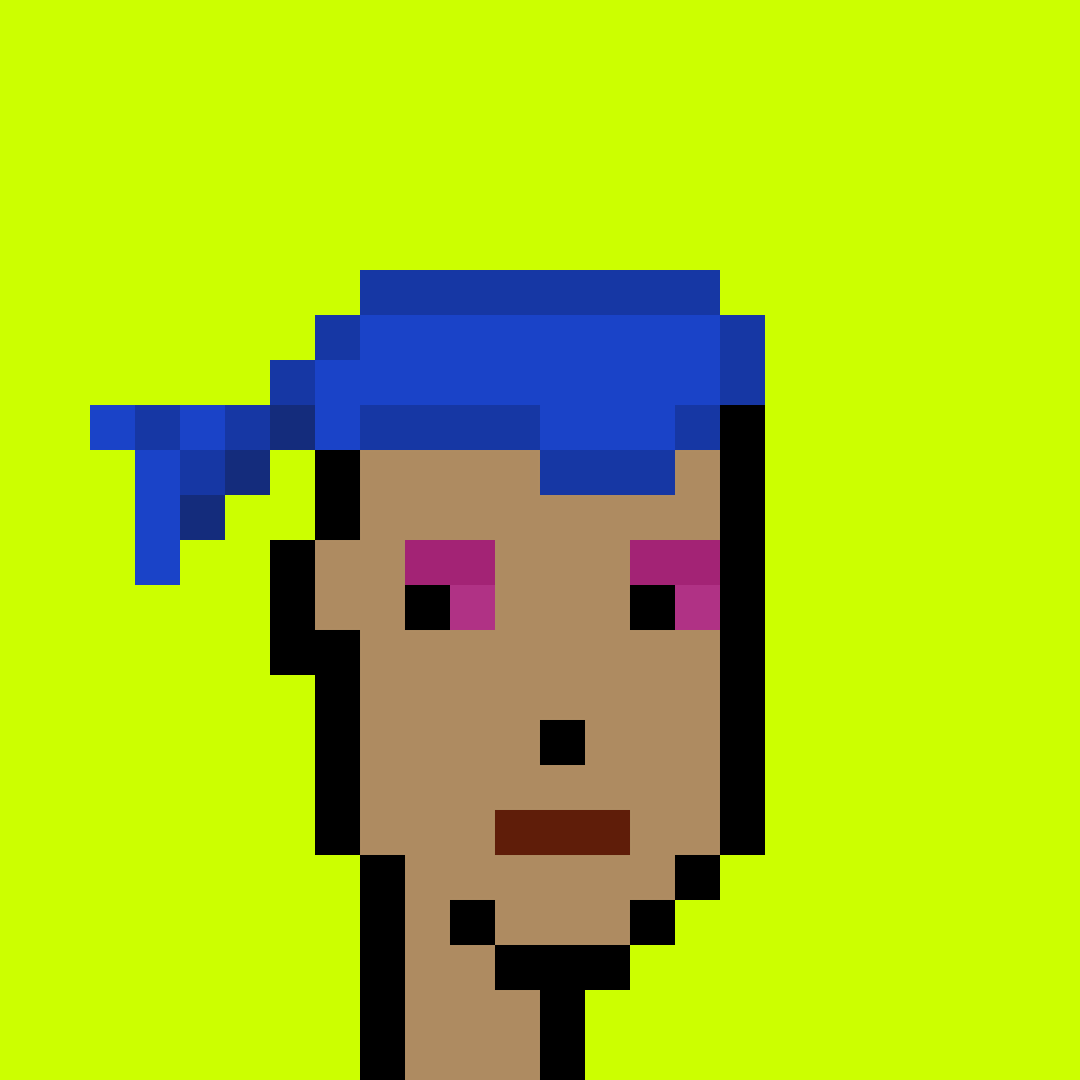 Punk #2208