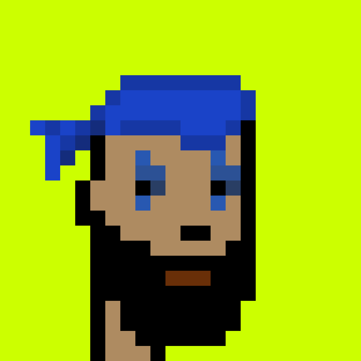 Punk #2345