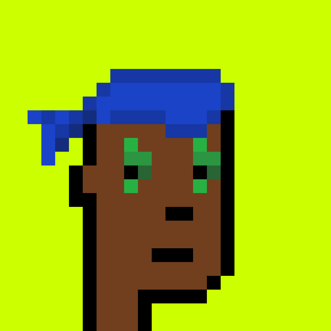 Punk #2355
