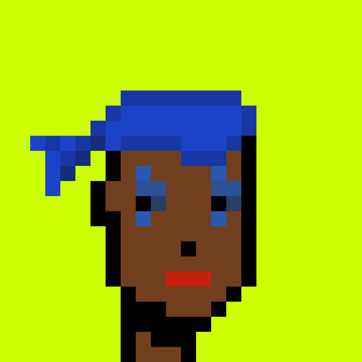 Punk #2905