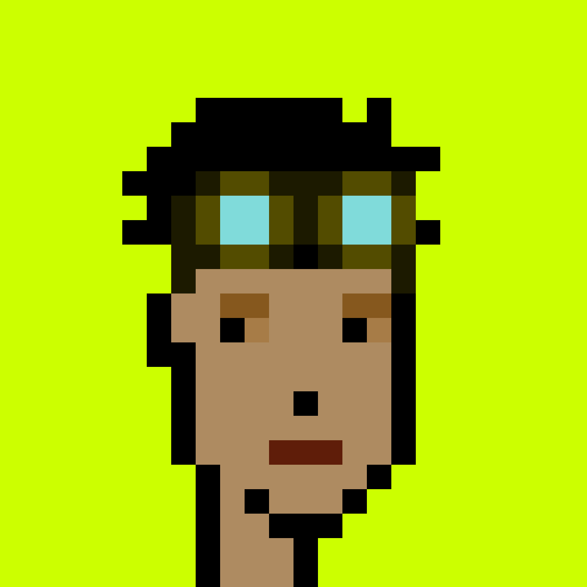 Punk #3006