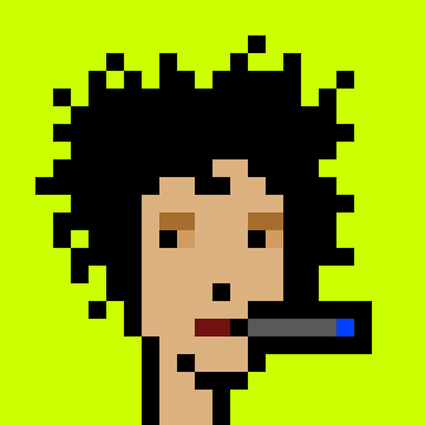 Punk #307