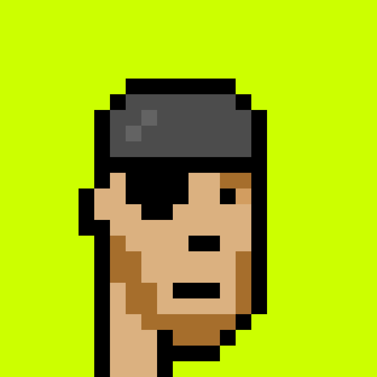 Punk #3229