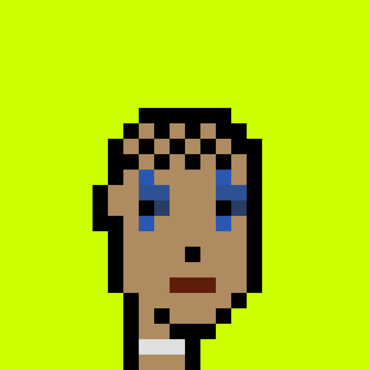 Punk #3276