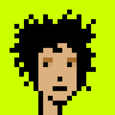 Punk #381