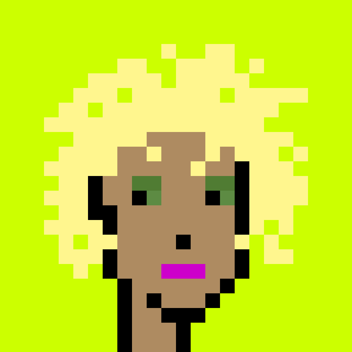 Punk #4062