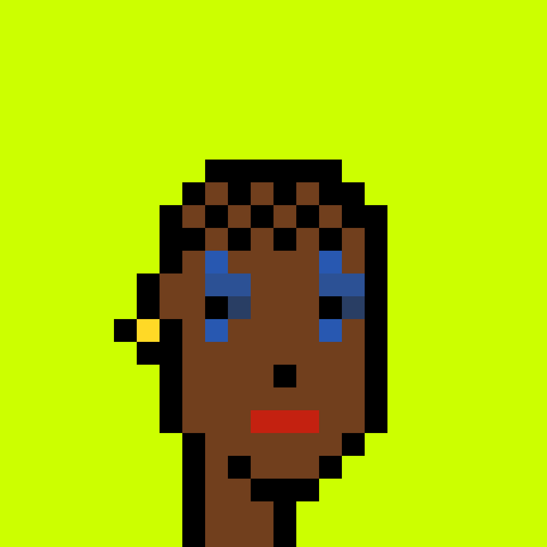 Punk #4101