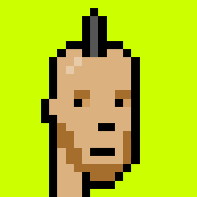 Punk #4455