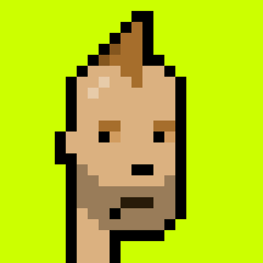 Punk #4489