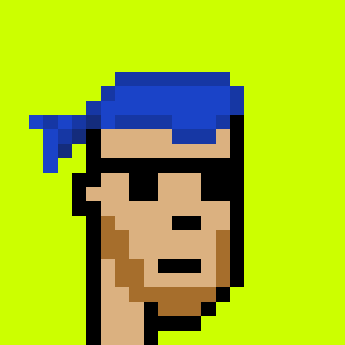 Punk #4855