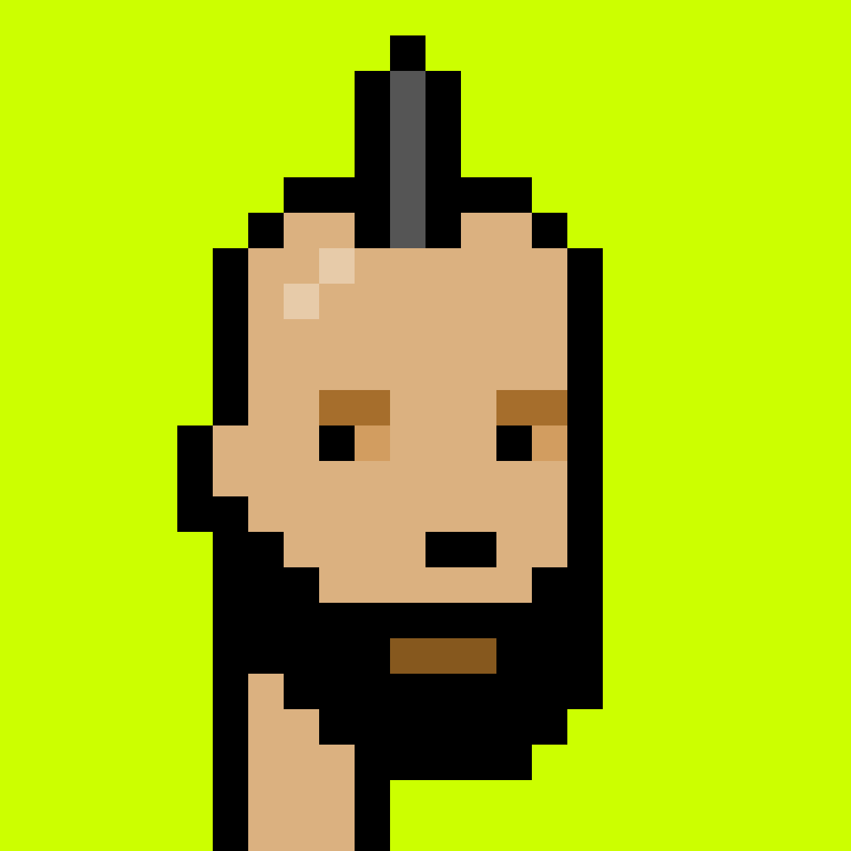 Punk #4862
