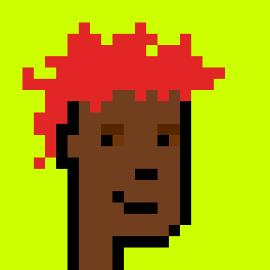 Punk #496