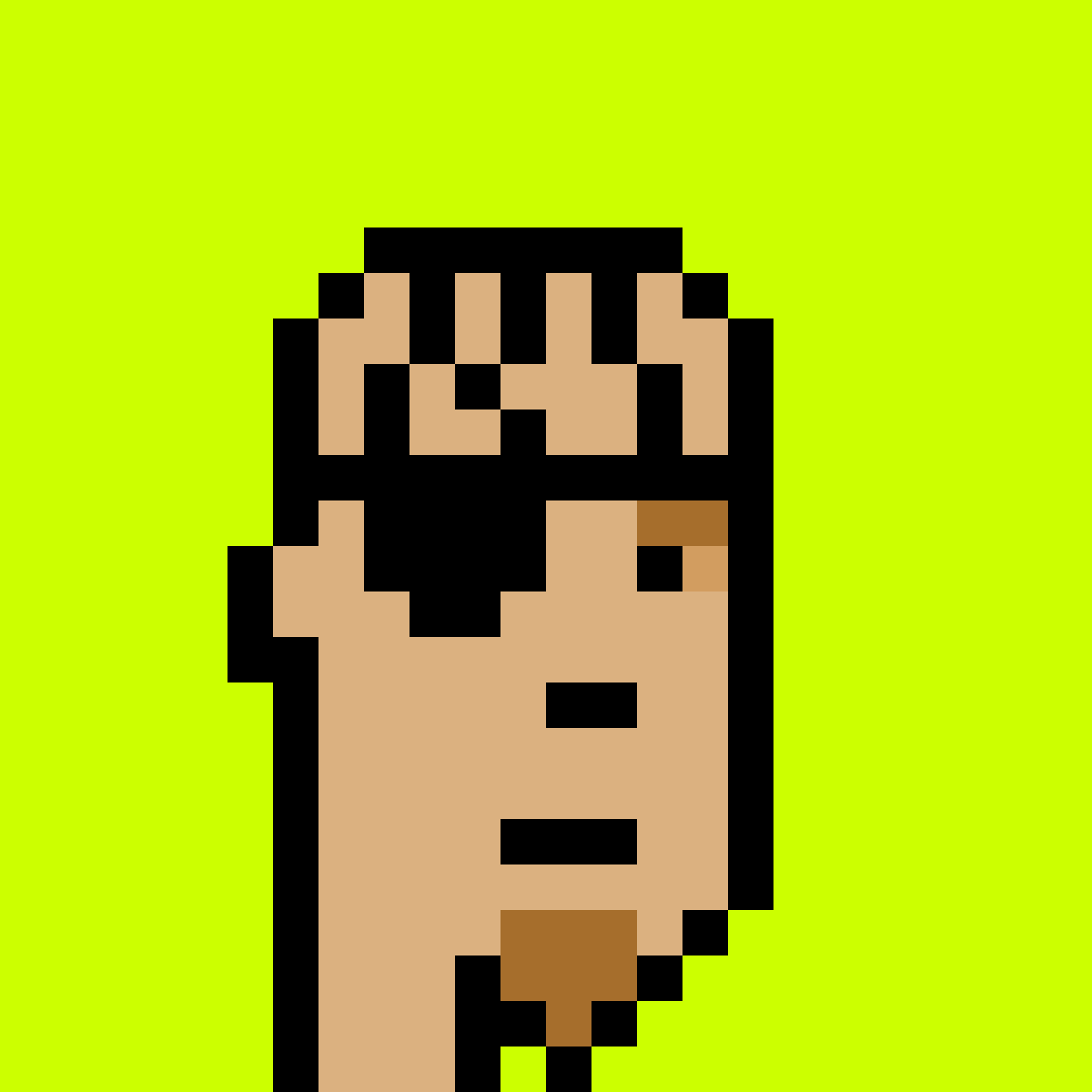 Punk #5091