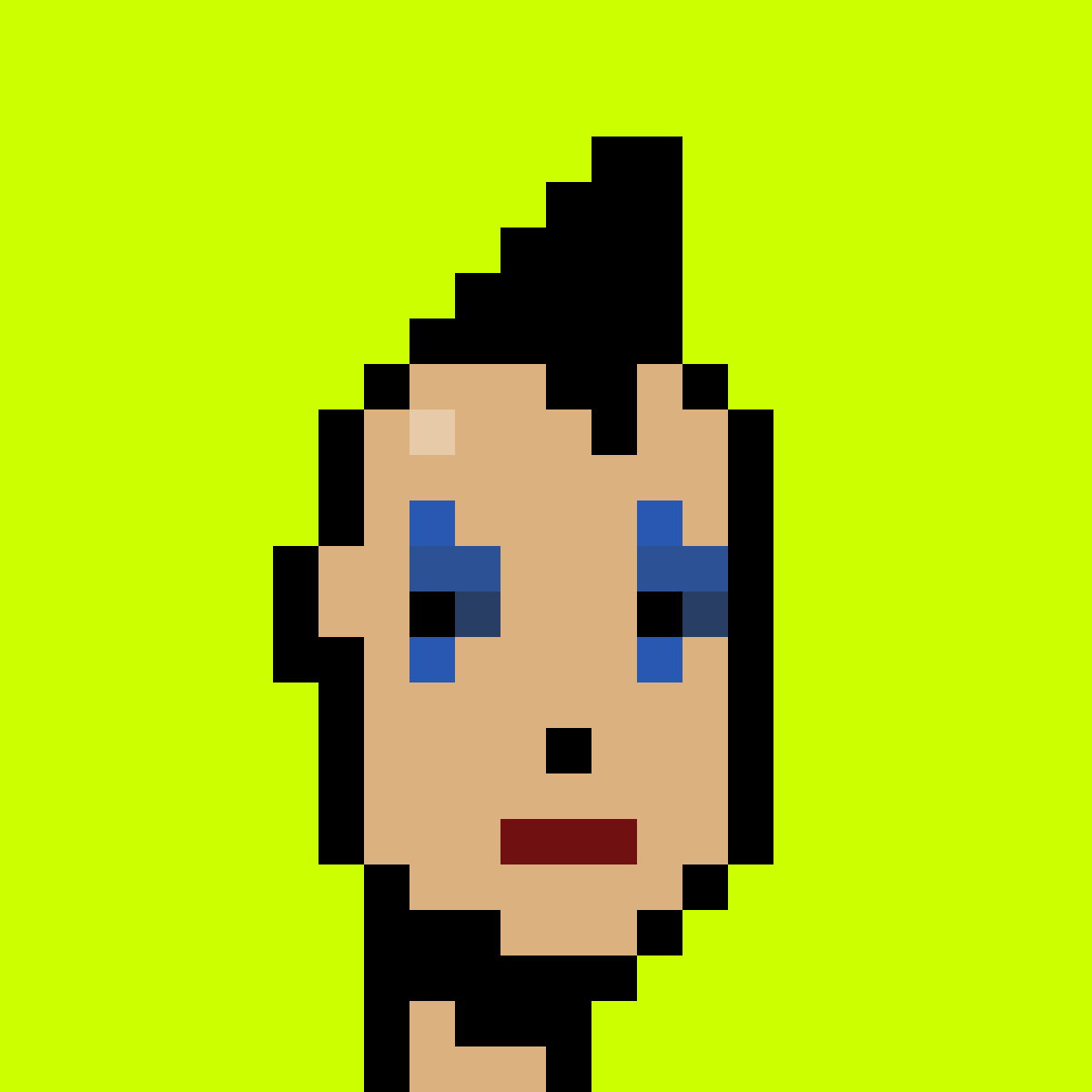Punk #5133