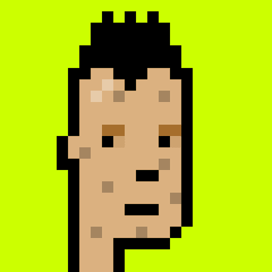 Punk #534