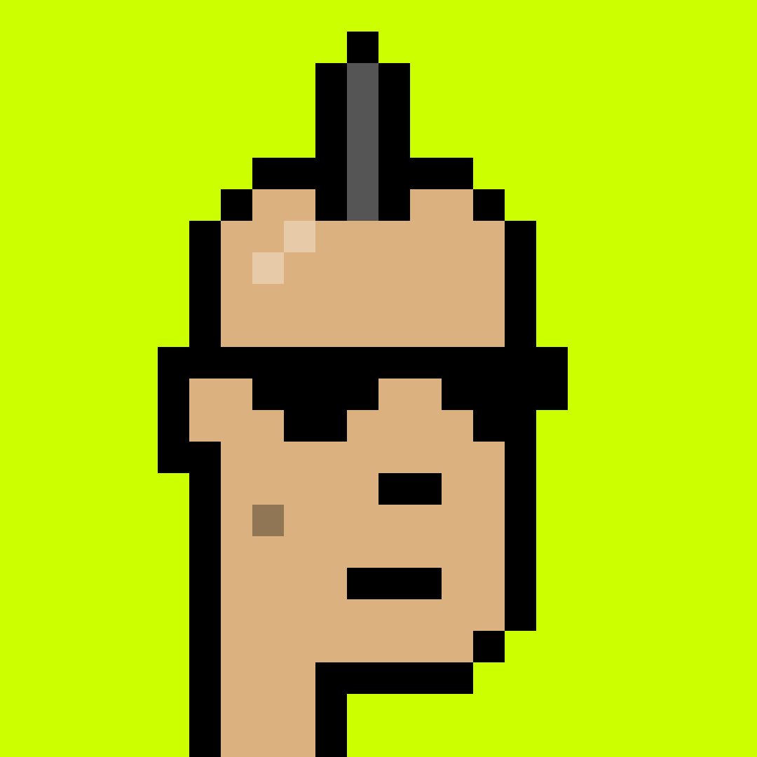 Punk #5808