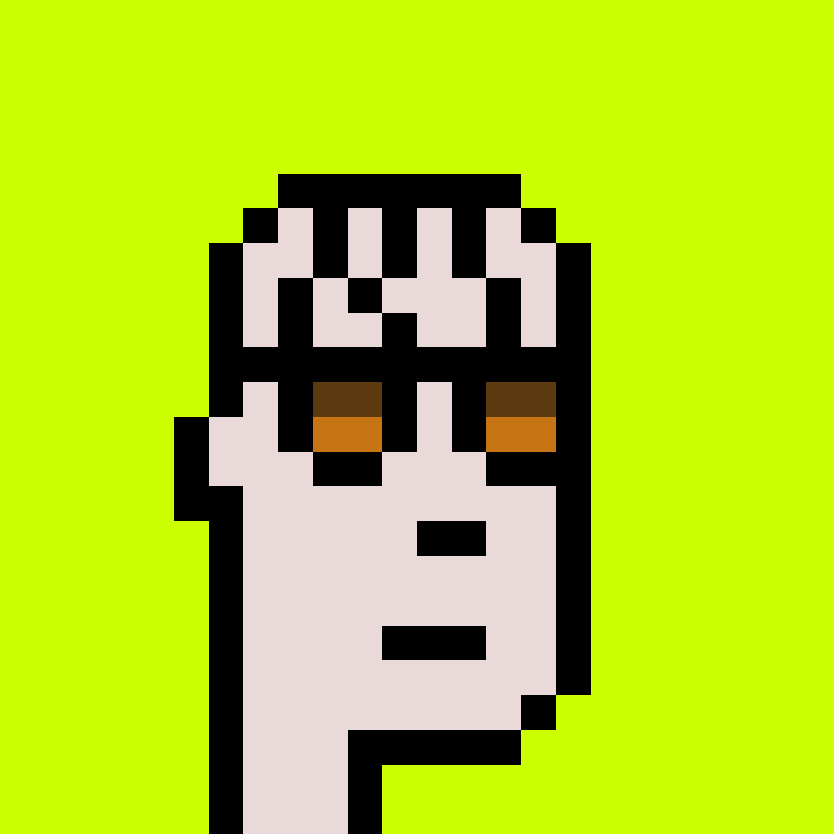 Punk #5811