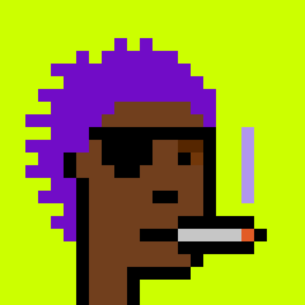 Punk #593