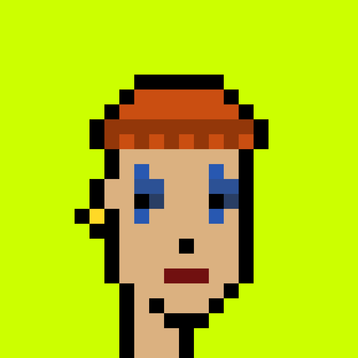 Punk #6065