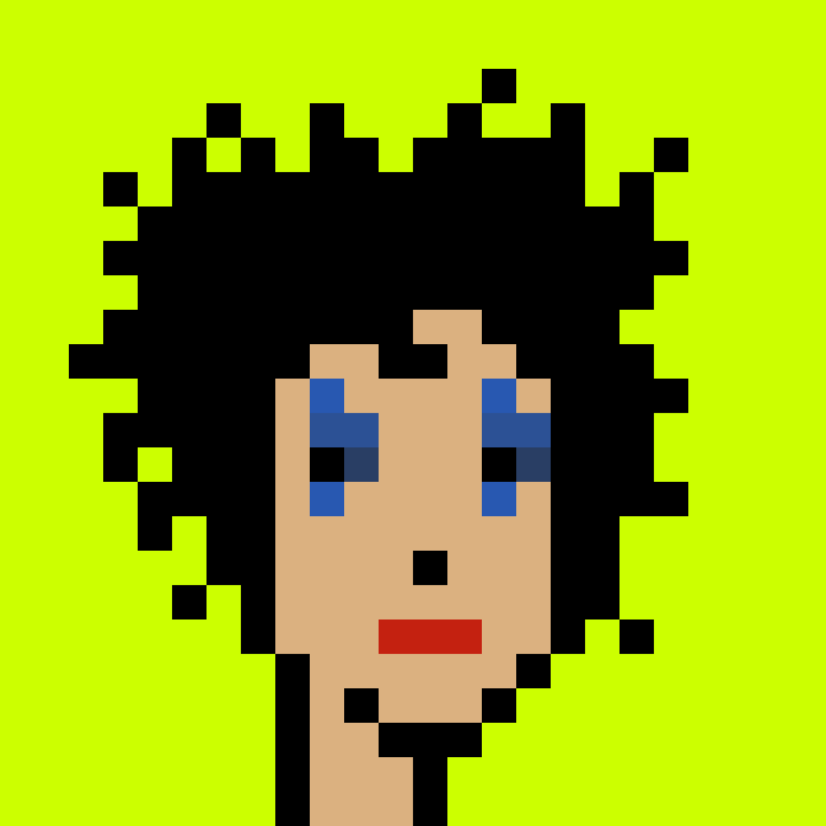 Punk #6080
