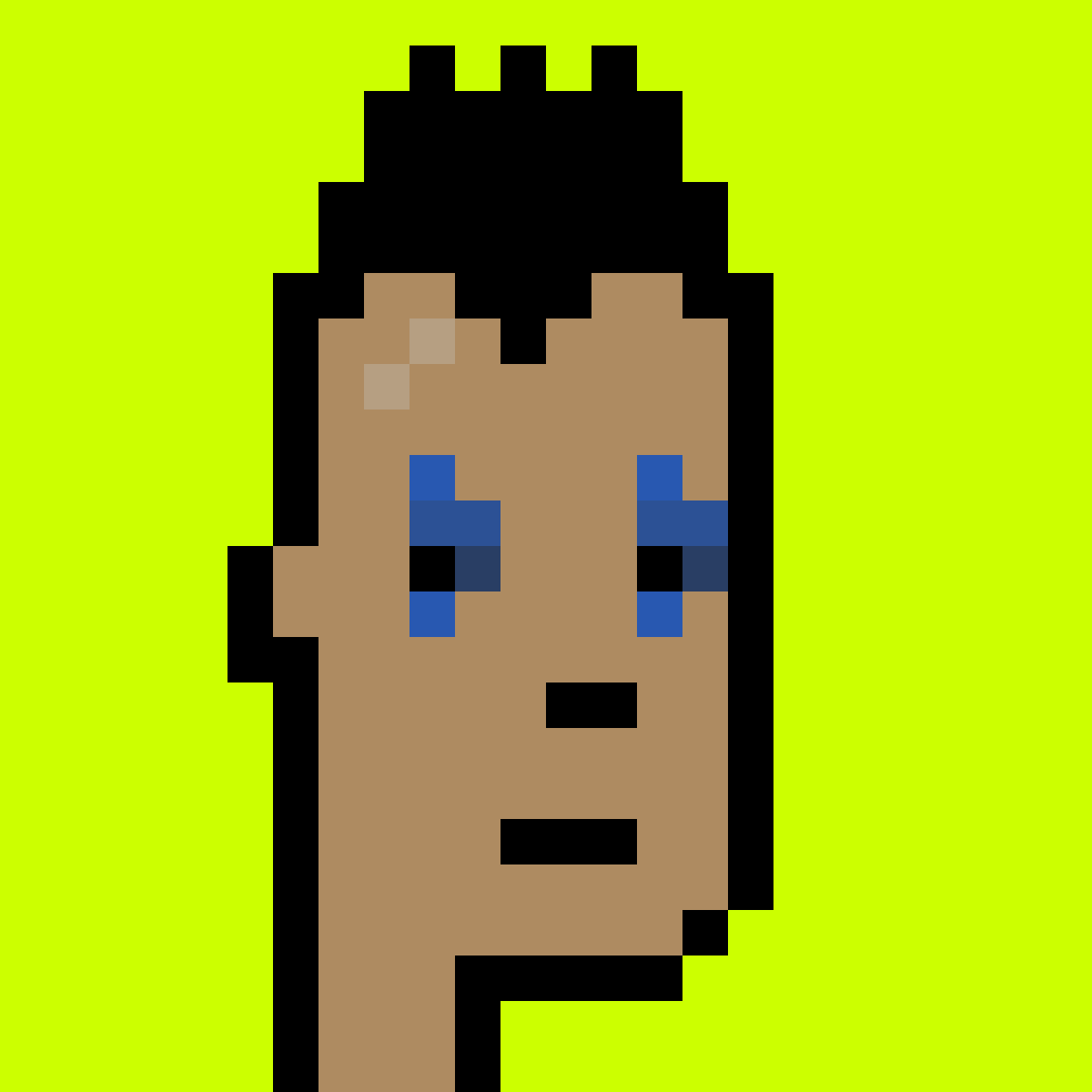 Punk #633