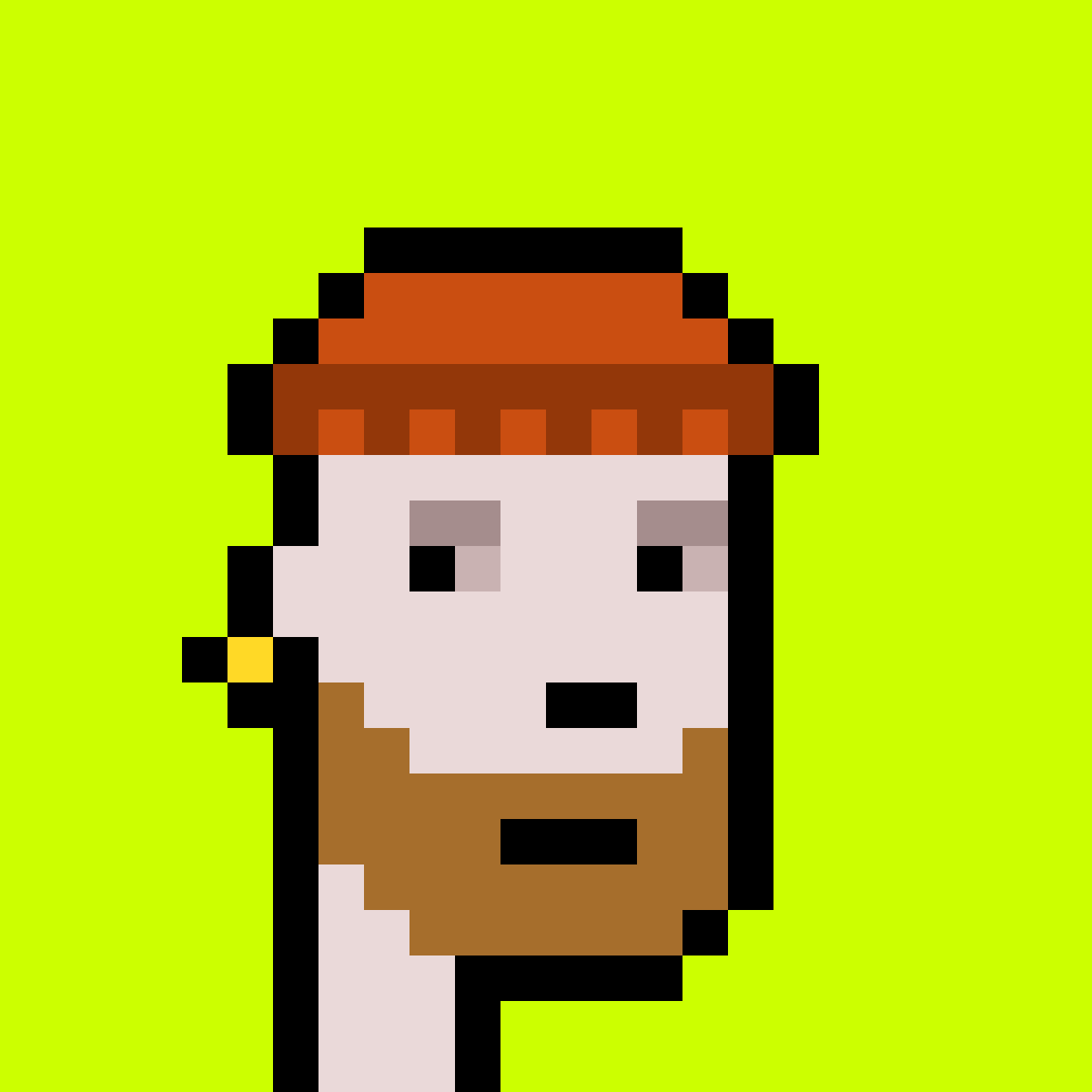 Punk #6547