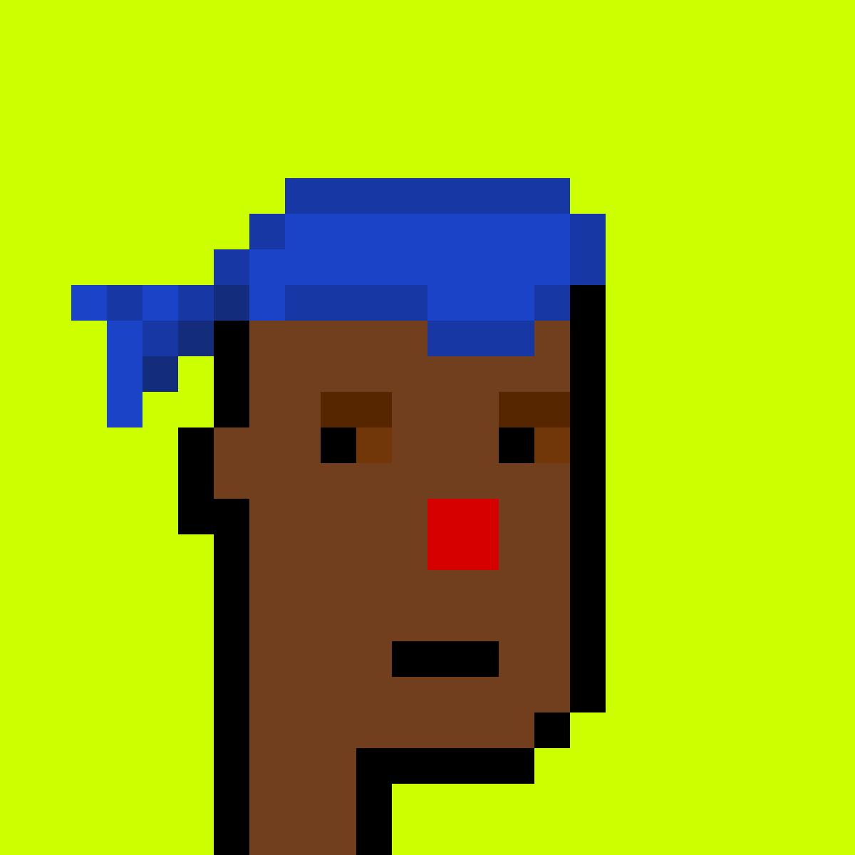 Punk #7351