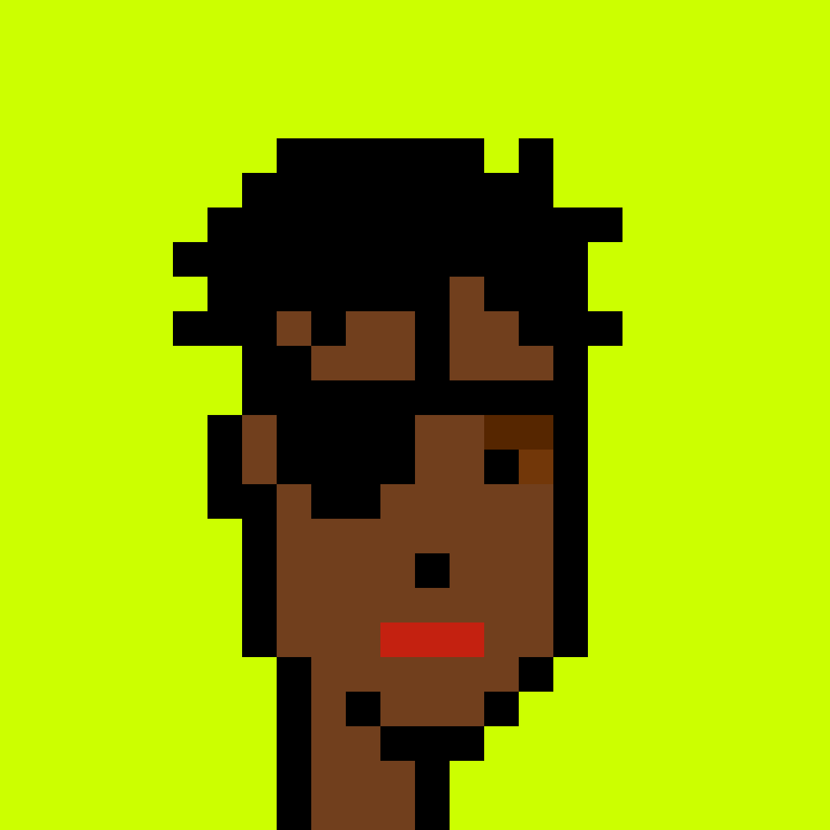 Punk #8040