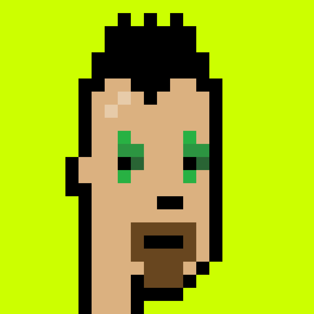 Punk #8133