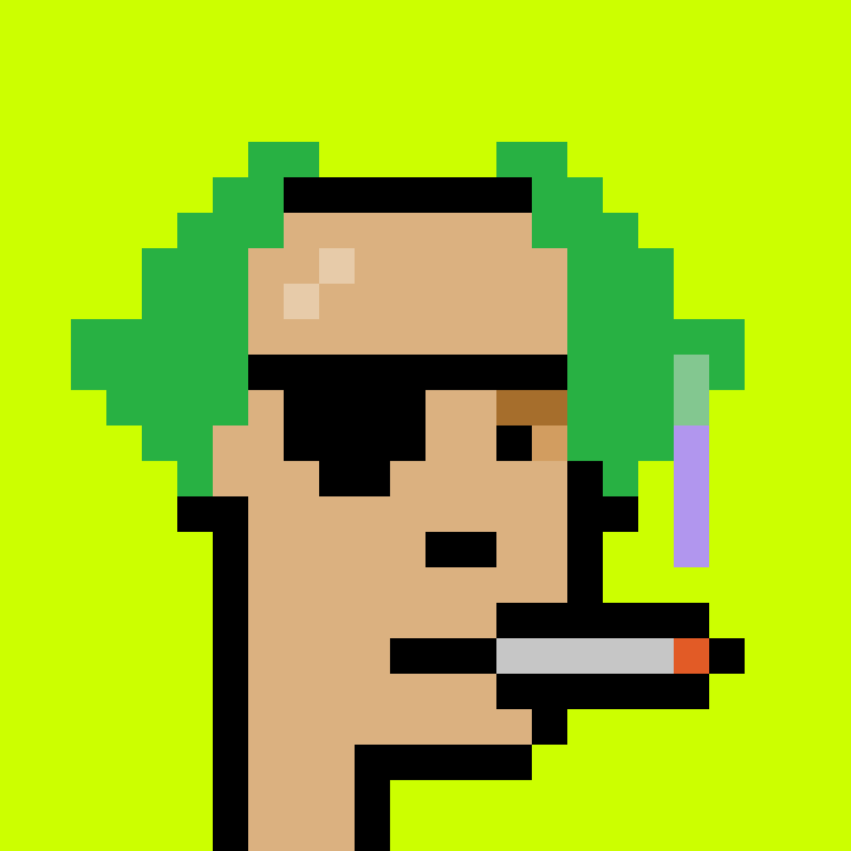Punk #8251