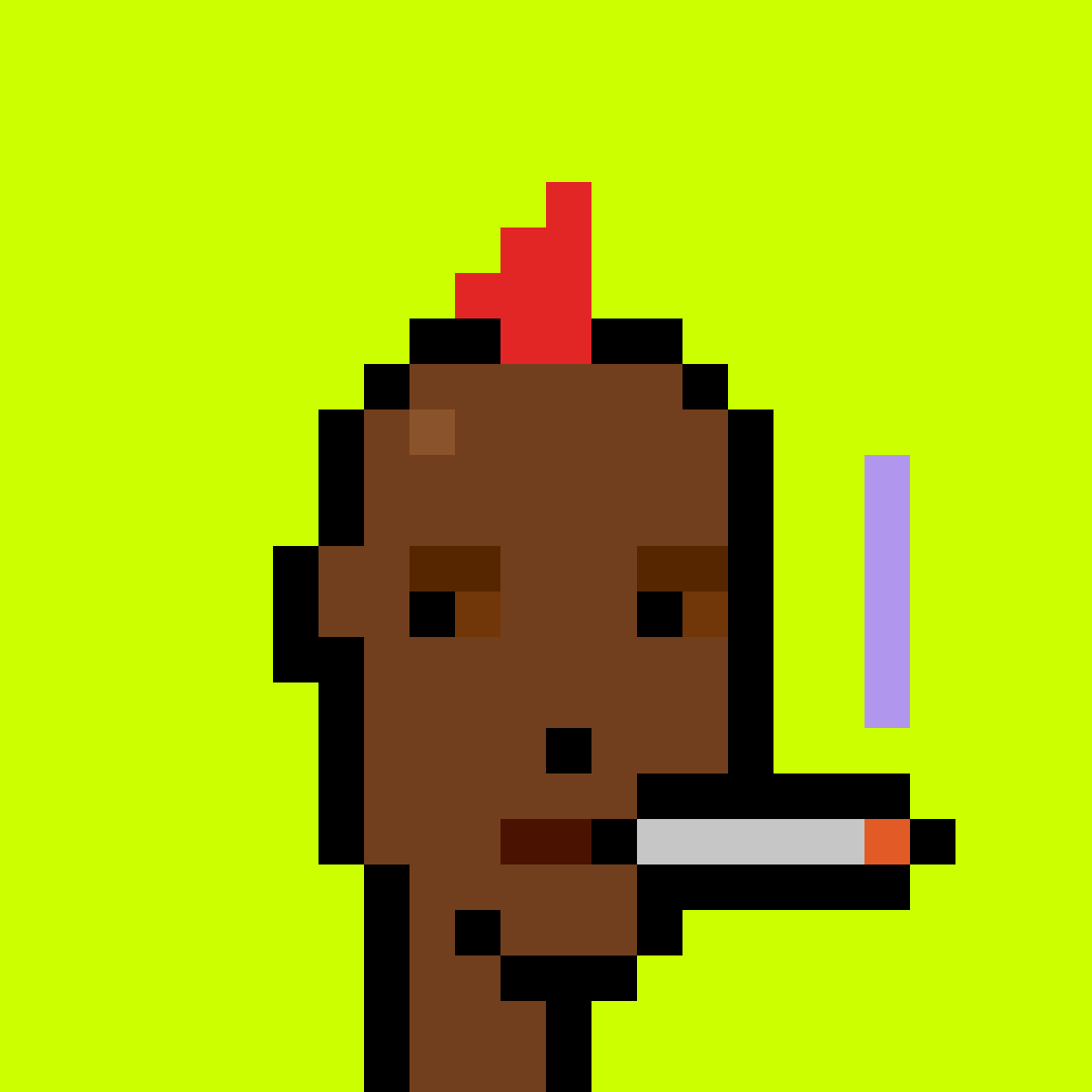 Punk #833