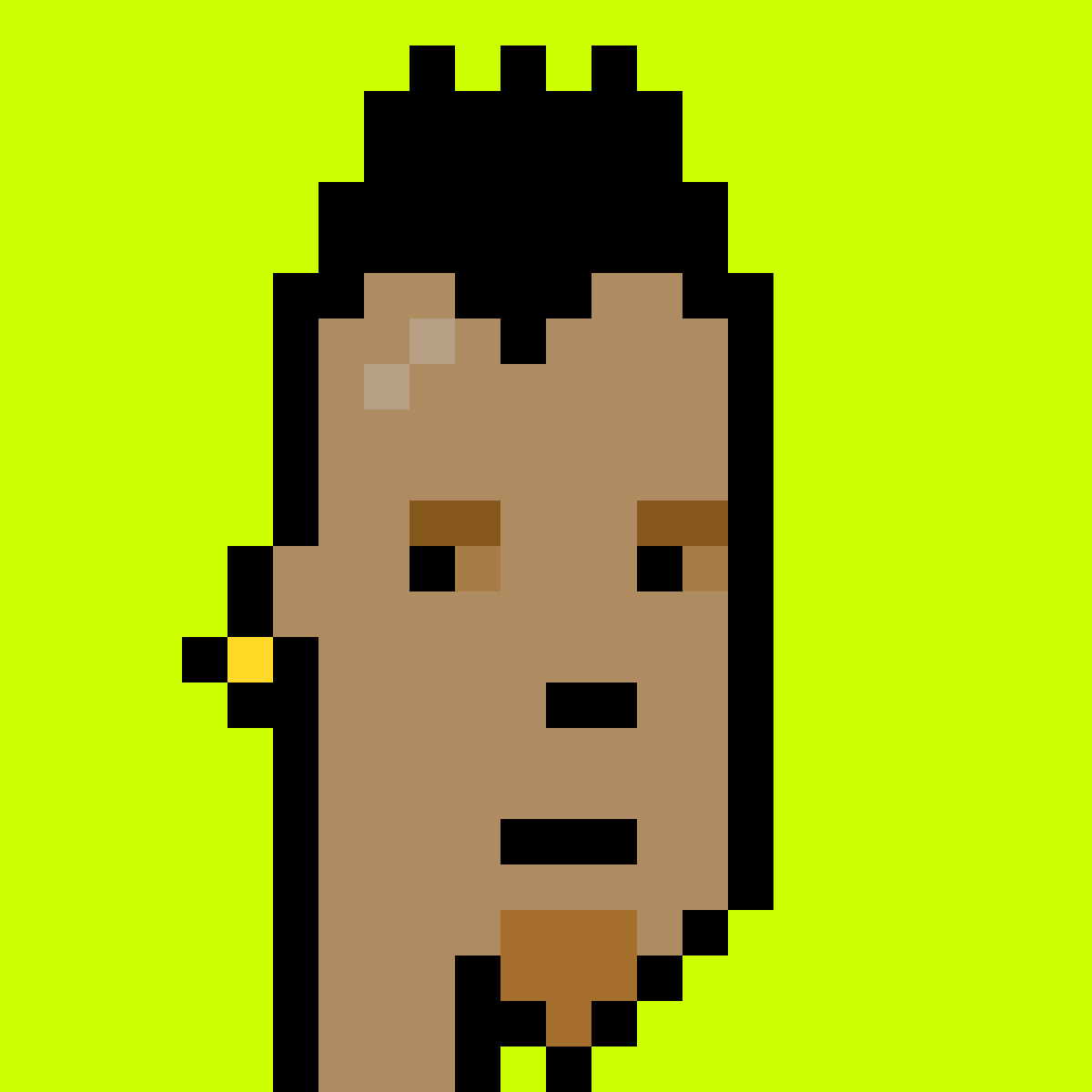 Punk #8333