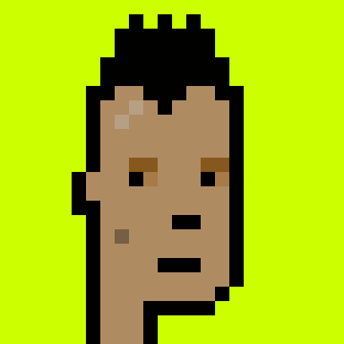 Punk #8476