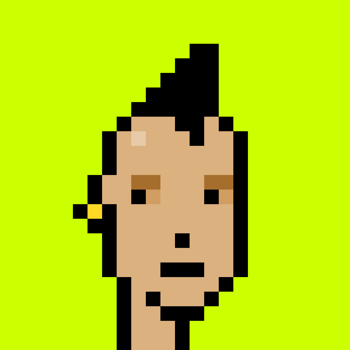Punk #8545
