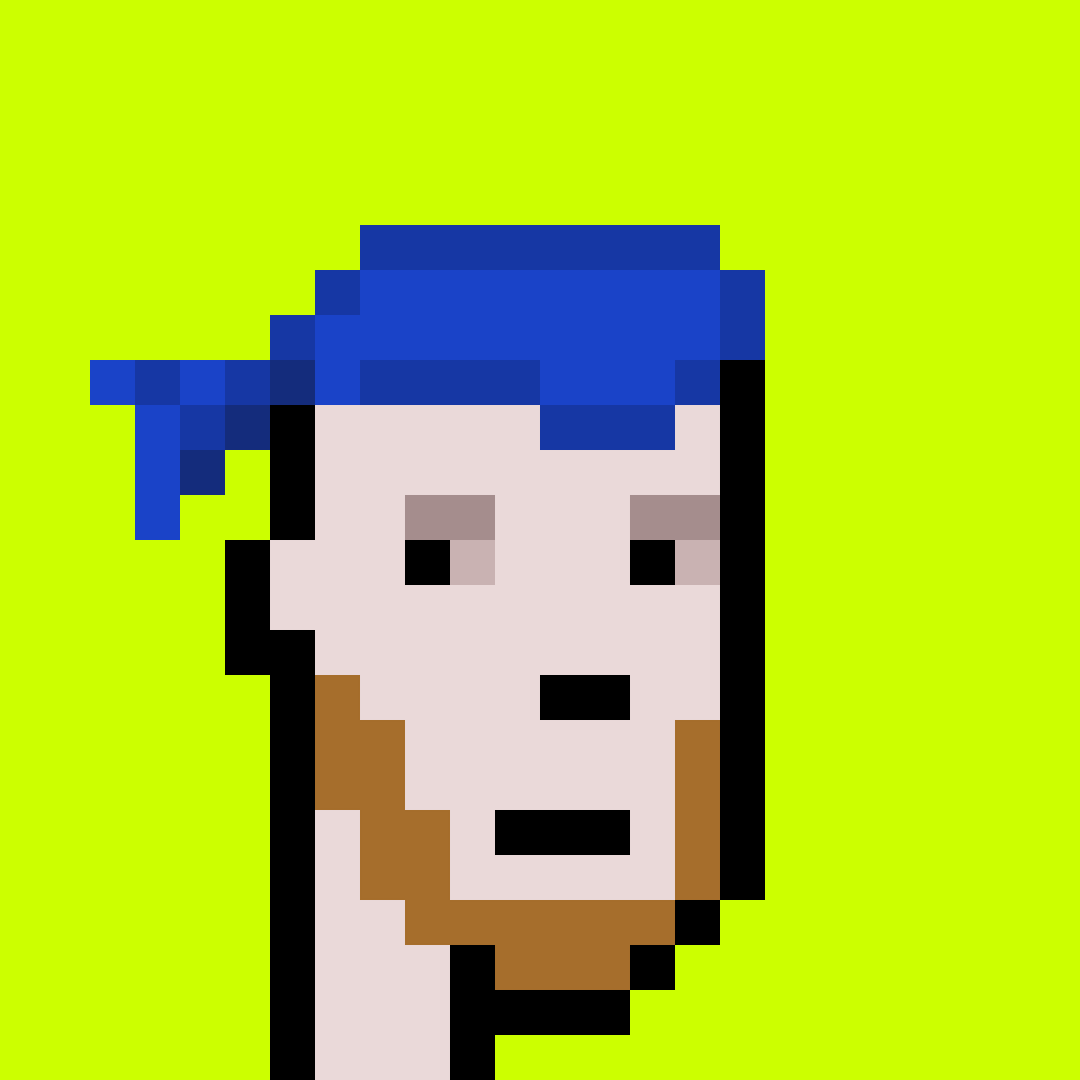 Punk #8653