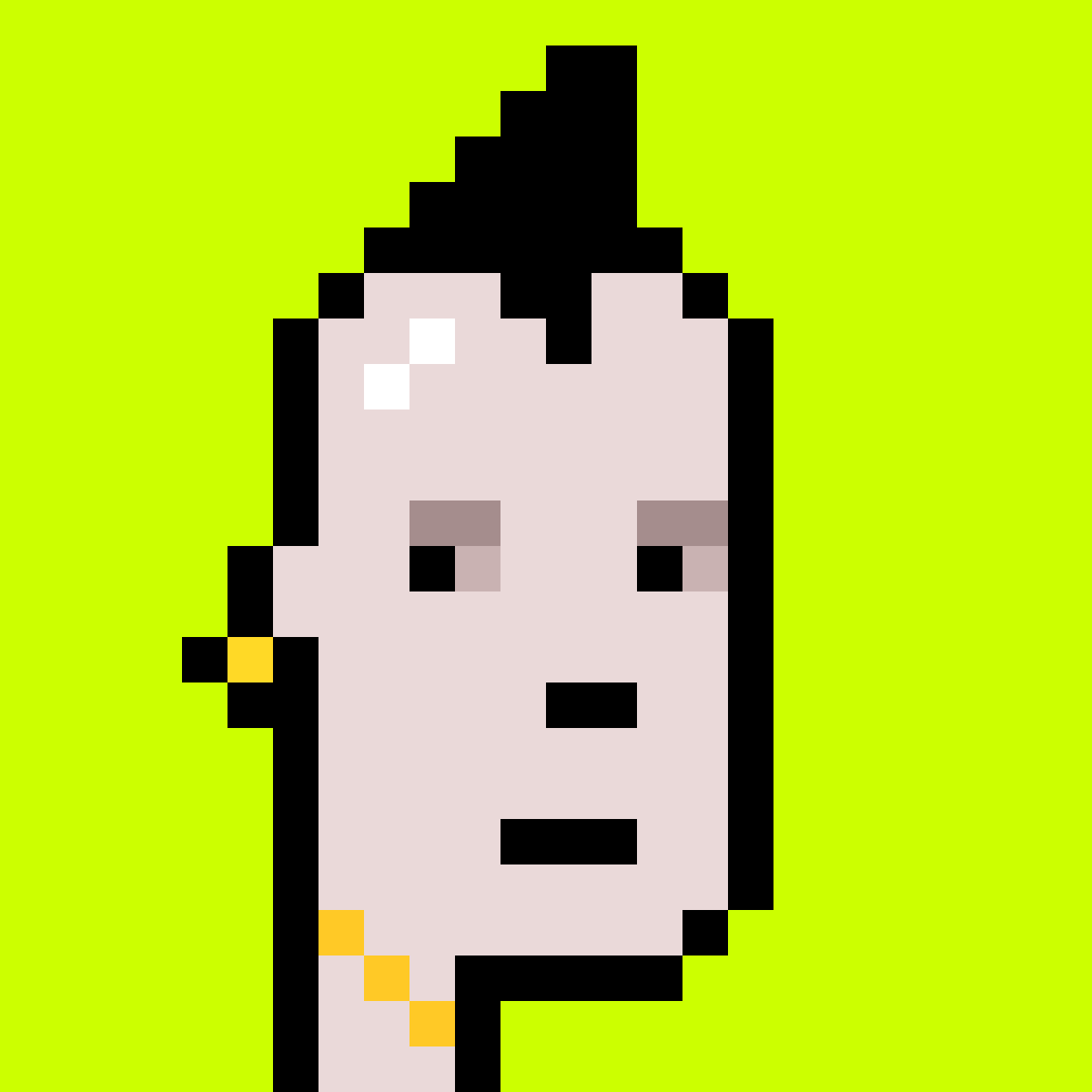 Punk #8655