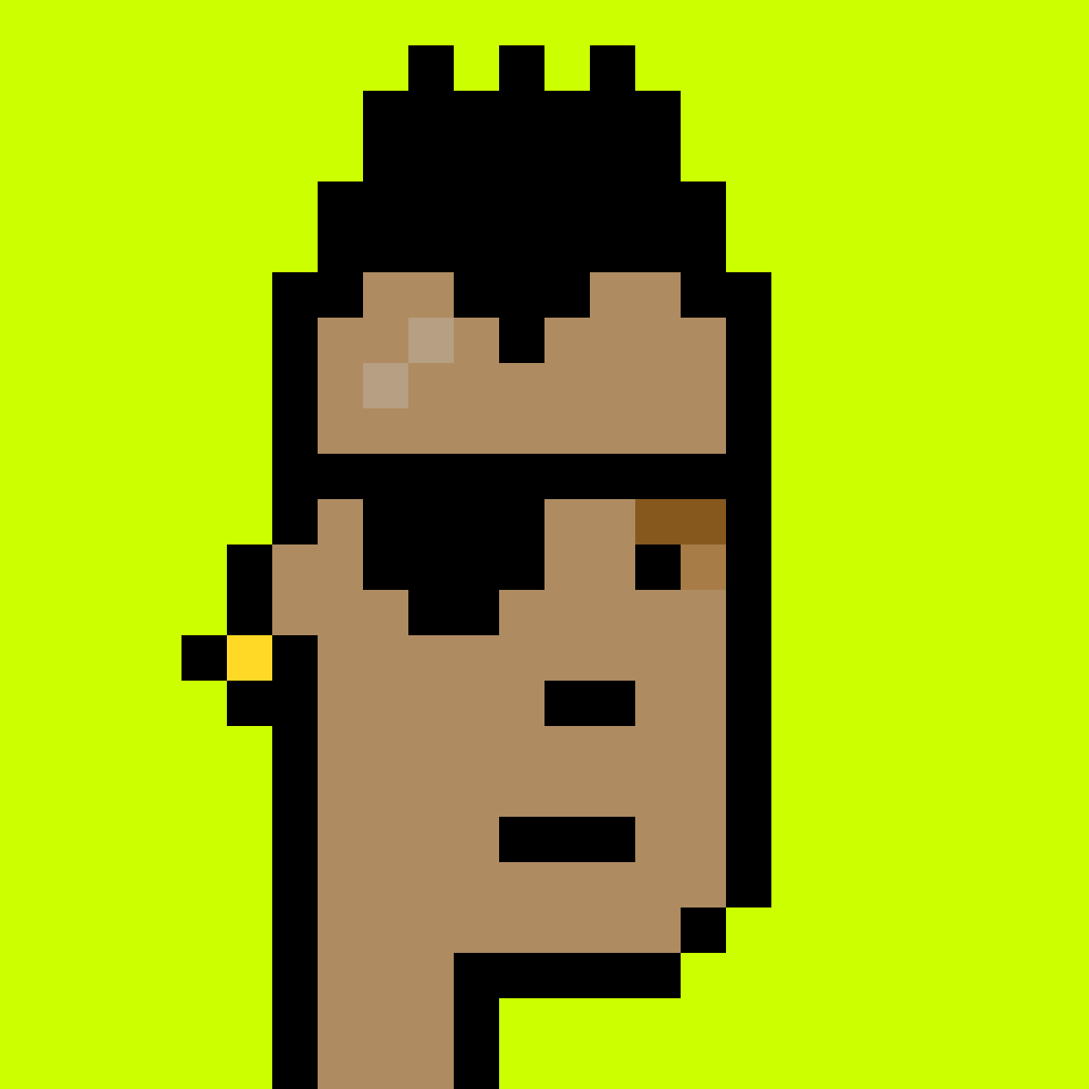 Punk #8667