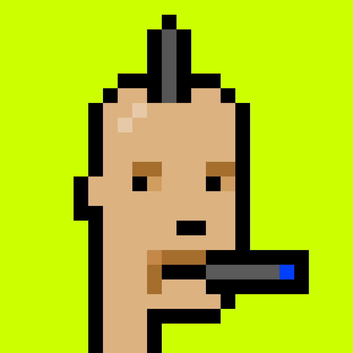 Punk #8763