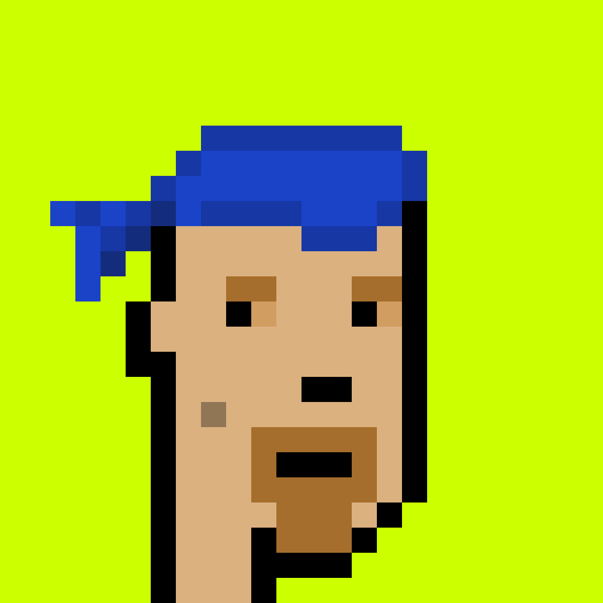 Punk #8789
