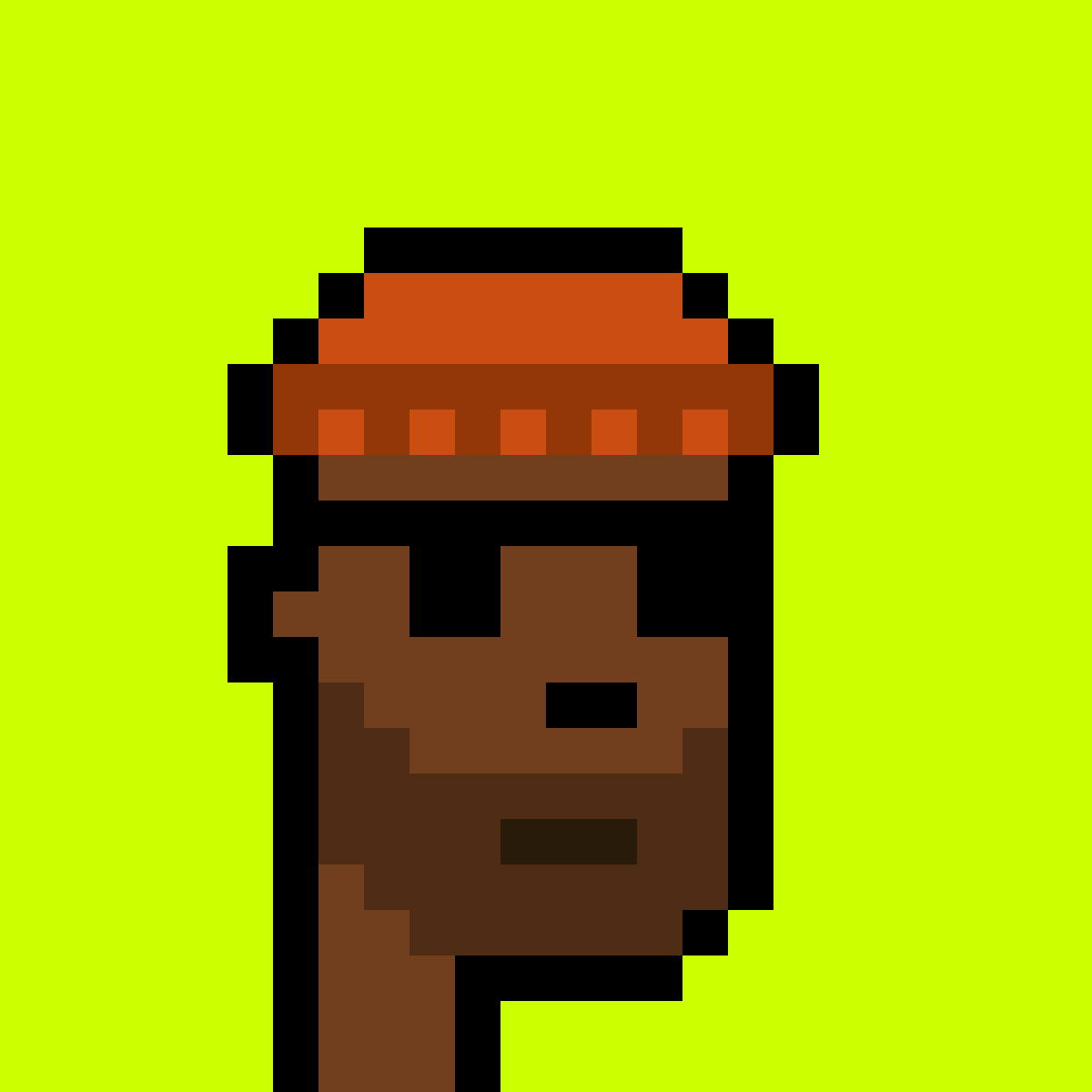 Punk #8807