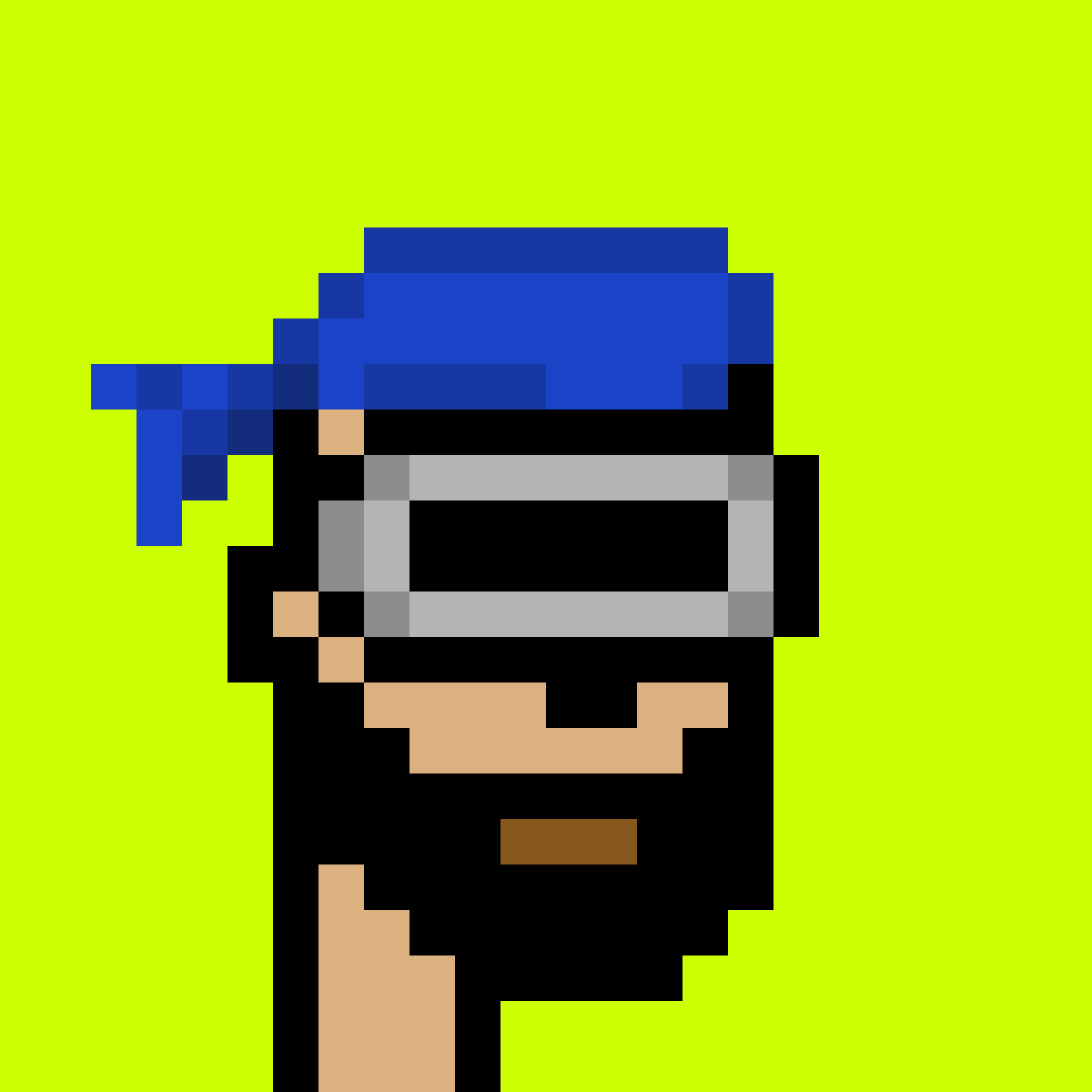 Punk #8809