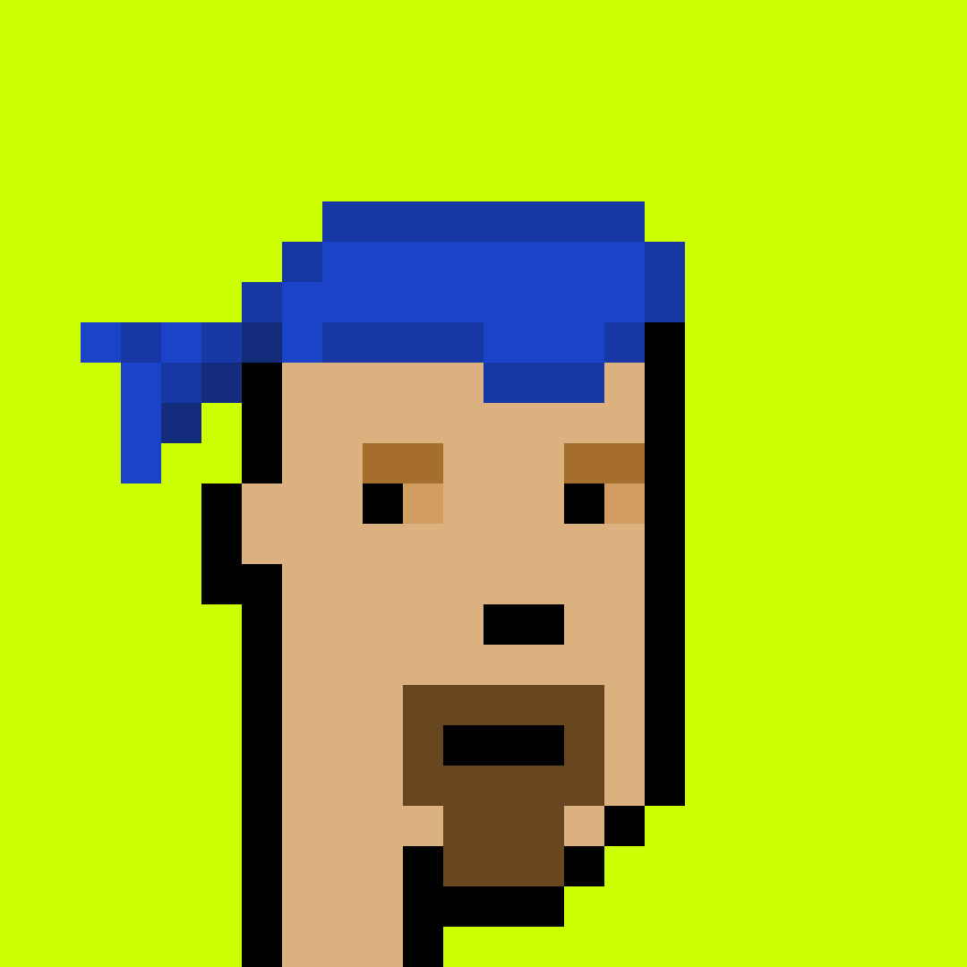 Punk #8939