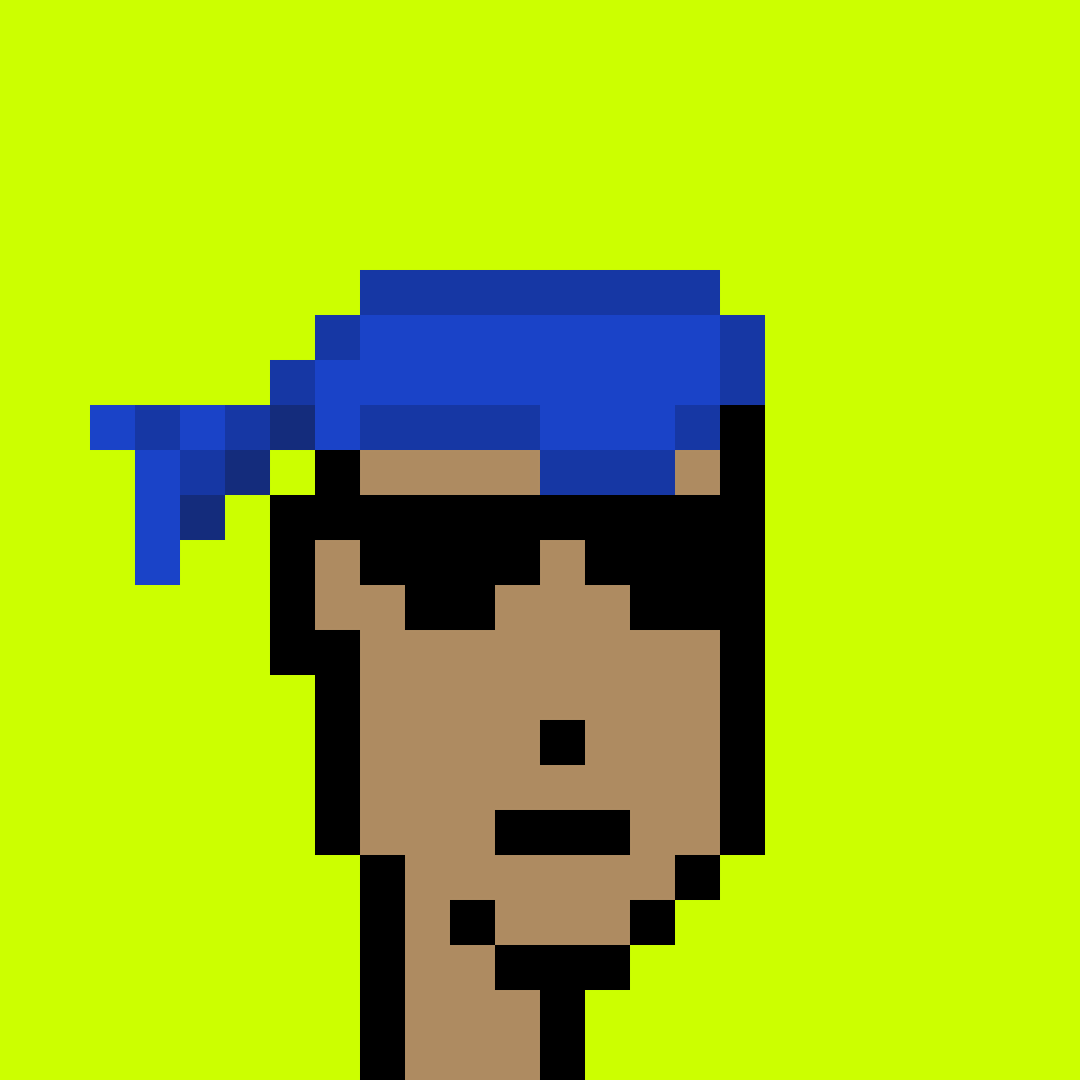 Punk #8953
